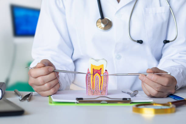 Best Emergency Orthodontic Repairs in Johnson City, NY